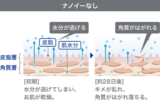 ナノイーなしの場合、[初期]水分が逃げてしまい、お肌が乾燥。[約28日後]キメが乱れ、角質がはがれ落ちる。