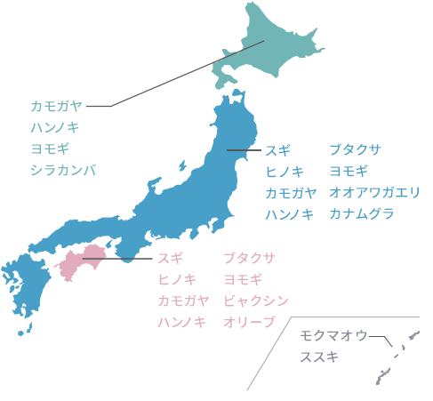 日本各地域で飛散する主な花粉が記載されている図。北海道ではカモガヤ、ハンノキ、ヨモギ、シラカンバが、東北から関東・中部・関西・中国・九州地方にかけてはスギ、ヒノキ、カモガヤ、ハンノキ、ブタクサ、ヨモギ、オオアワガエリ、カナムグラ、四国地方ではスギ、ヒノキ、カモガヤ、ハンノキ、ブタクサ、ヨモギ、ビャクシン、オリーブ、沖縄地方ではモクマオウ、ススキが多く飛散する。